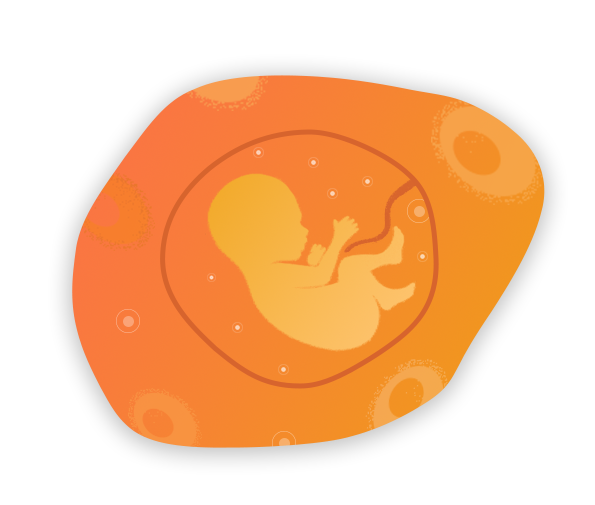 什么是胎盘干细胞？奥比特干细胞 存储干细胞 存储健康