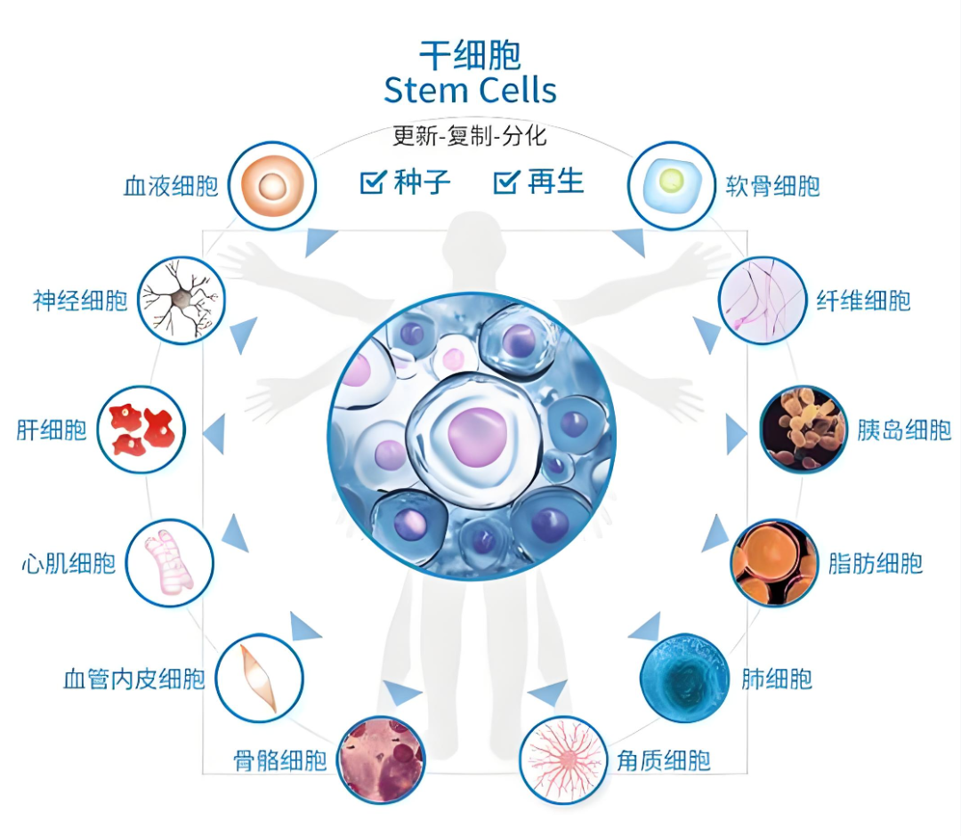 微信图片_2025-10-17_093014_783 微信图片_2025-10-17_093014_783