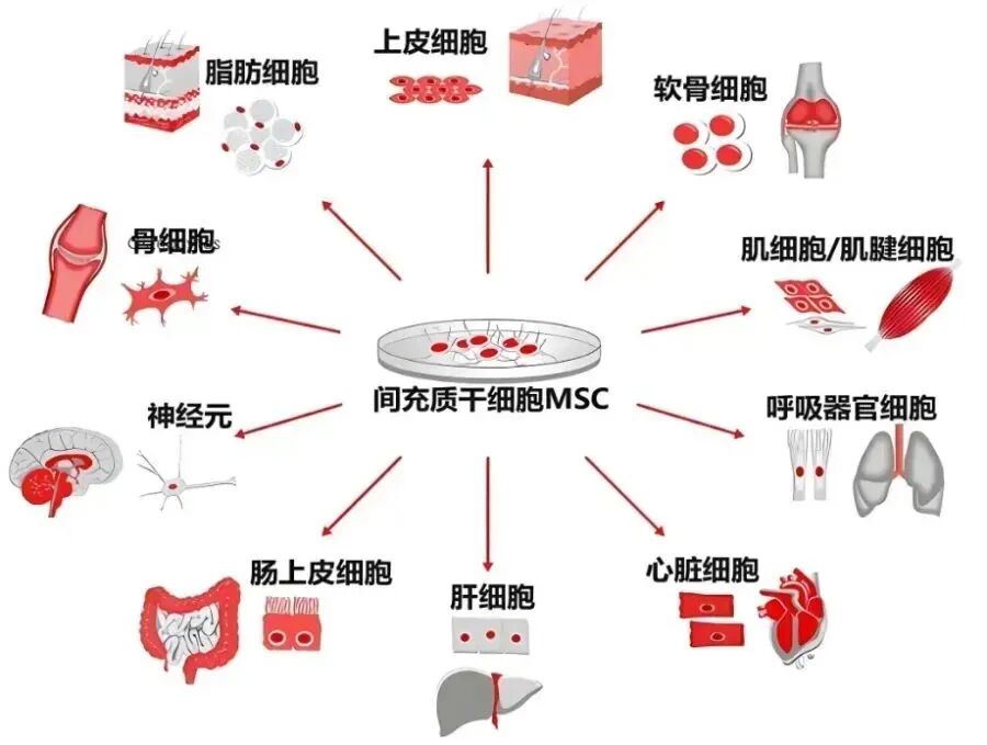 微信图片_2025-10-23_142442_640 微信图片_2025-10-23_142442_640