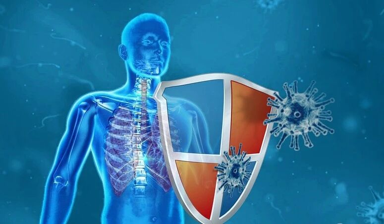 微信图片_2025-12-08_124557_323