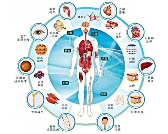 微信图片_2025-12-16_095758_101