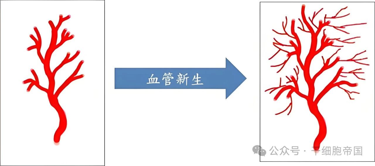 微信图片_2026-01-06_092707_809