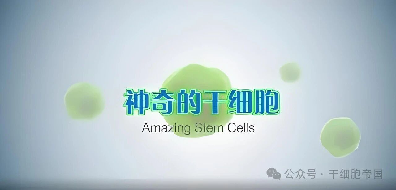 微信图片_2026-01-06_092709_969