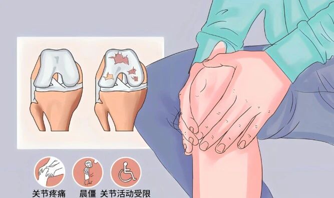 微信图片_2026-02-02_111112_917