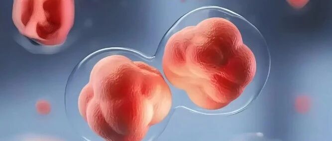 微信图片_2026-02-02_111127_630