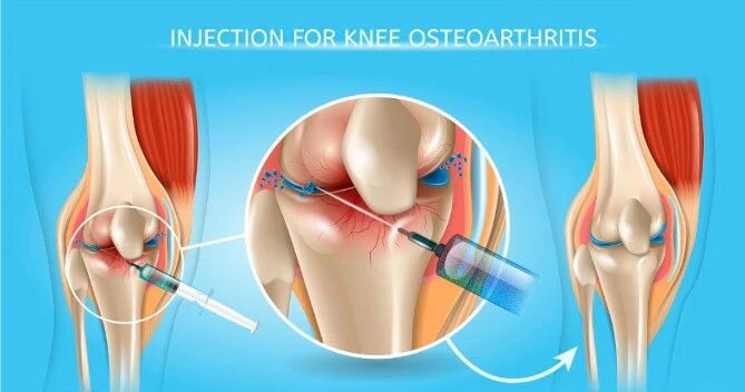 微信图片_2026-02-02_111124_202