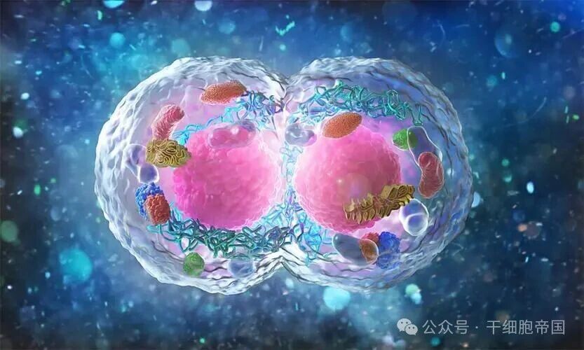 微信图片_2026-02-25_163034_095