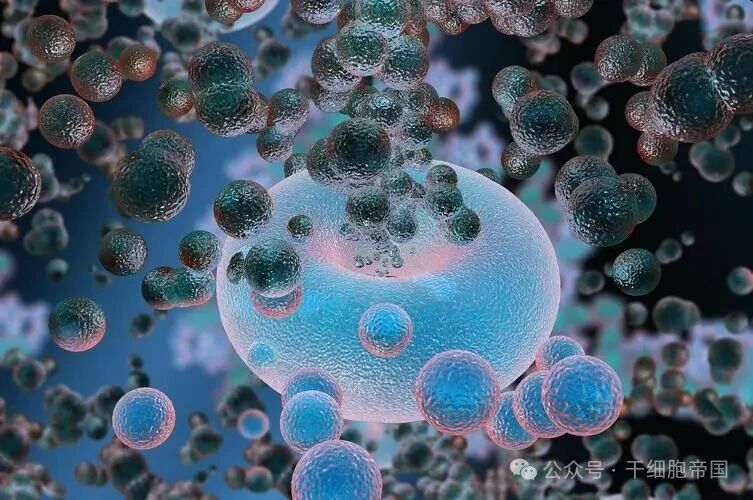 微信图片_2026-02-25_163031_302