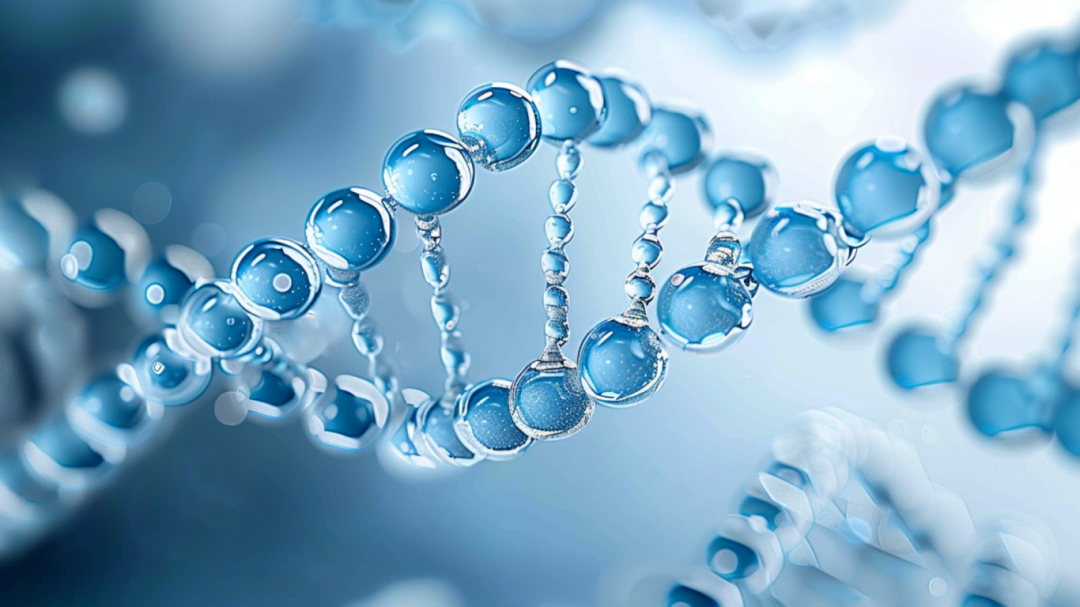 微信图片_2026-03-18_095351_589