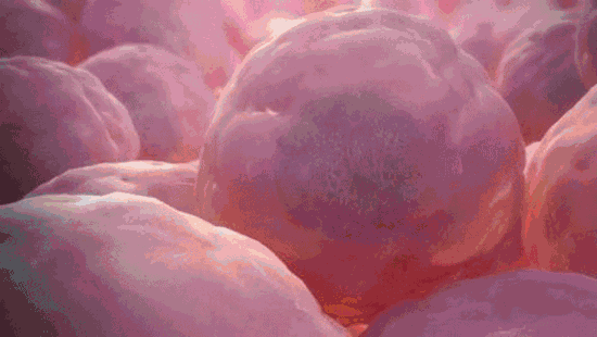 微信图片_2026-03-18_095349_686