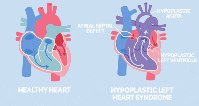微信图片_2026-03-27_125030_435