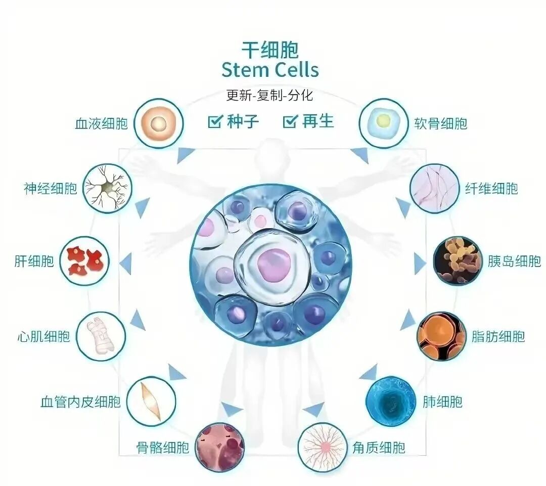 微信图片_2026-04-08_110442_217