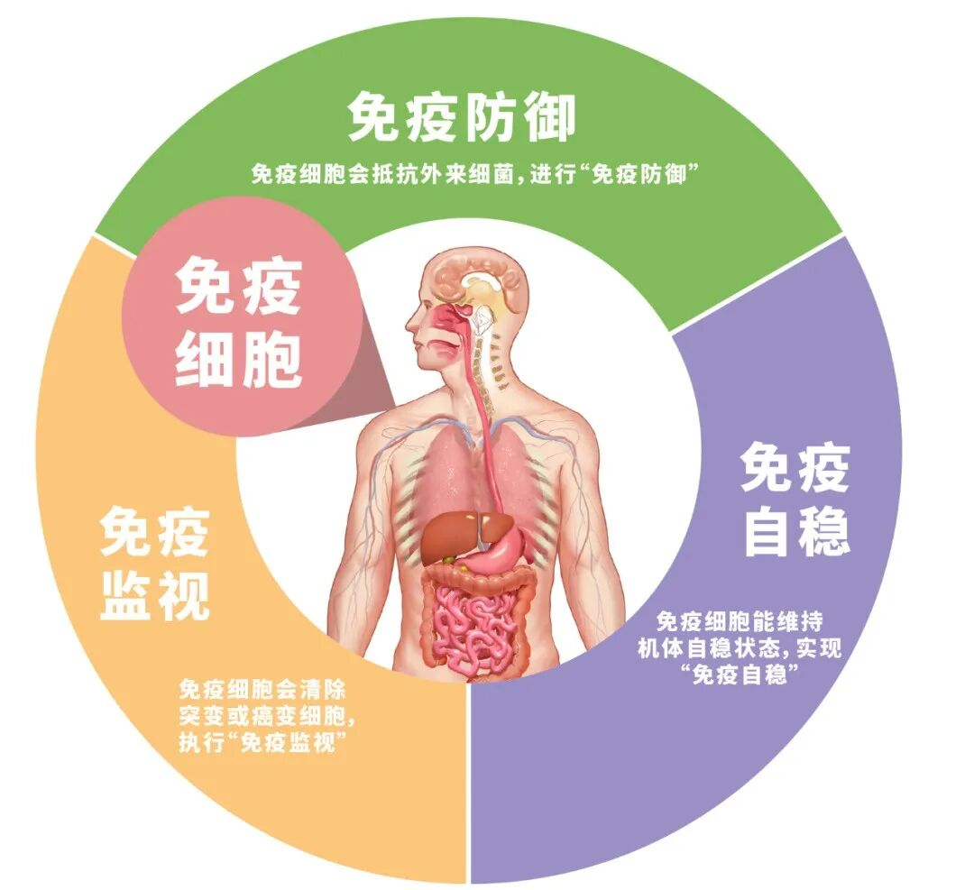 微信图片_2026-04-08_110445_945