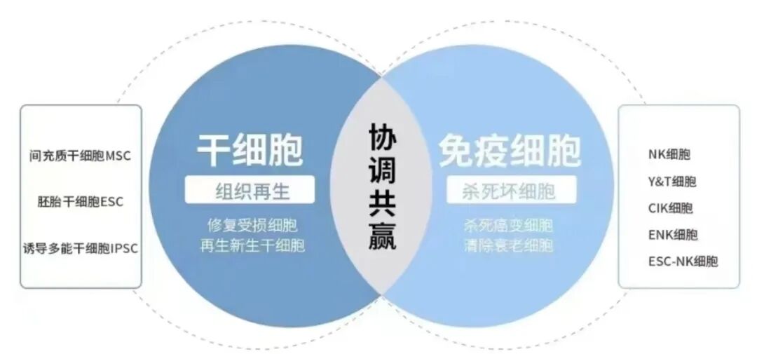 微信图片_2026-04-08_110449_409